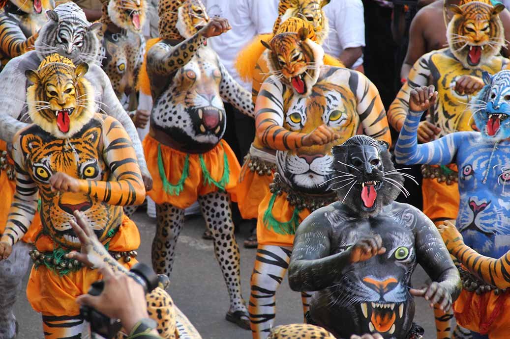 Customised Special Interest Tours